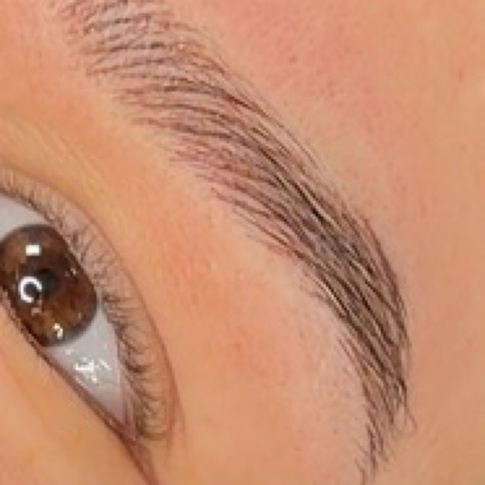 Nano Brows at Niki Ink in White House, TN