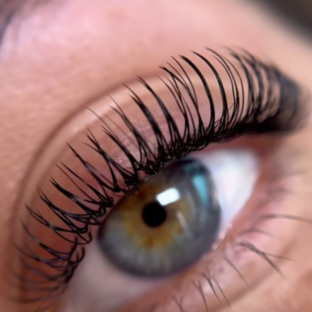Classic Lashes at Lure Beauty Lounge in sanford, FL