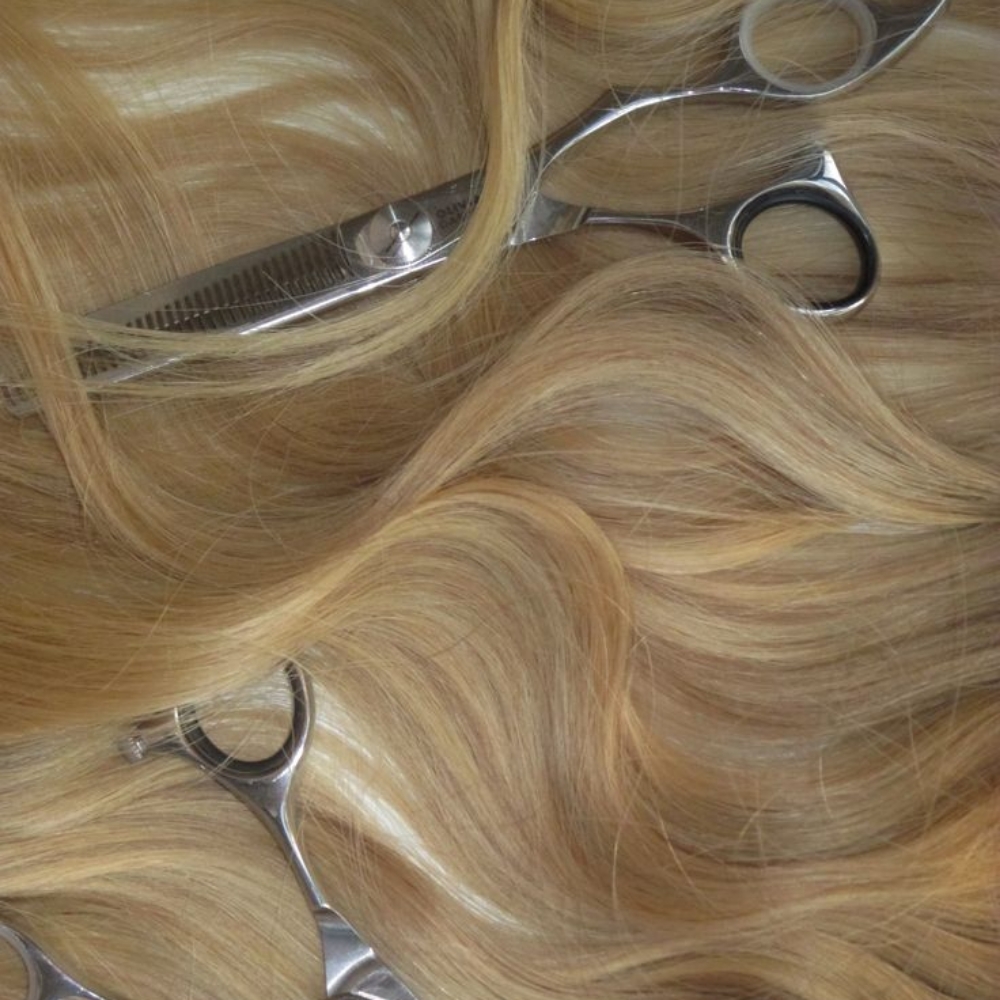 Dry Haircut- Style at Melodie  Haynes in Alexandria, LA