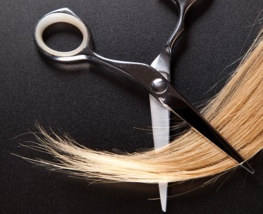 Women's Cut