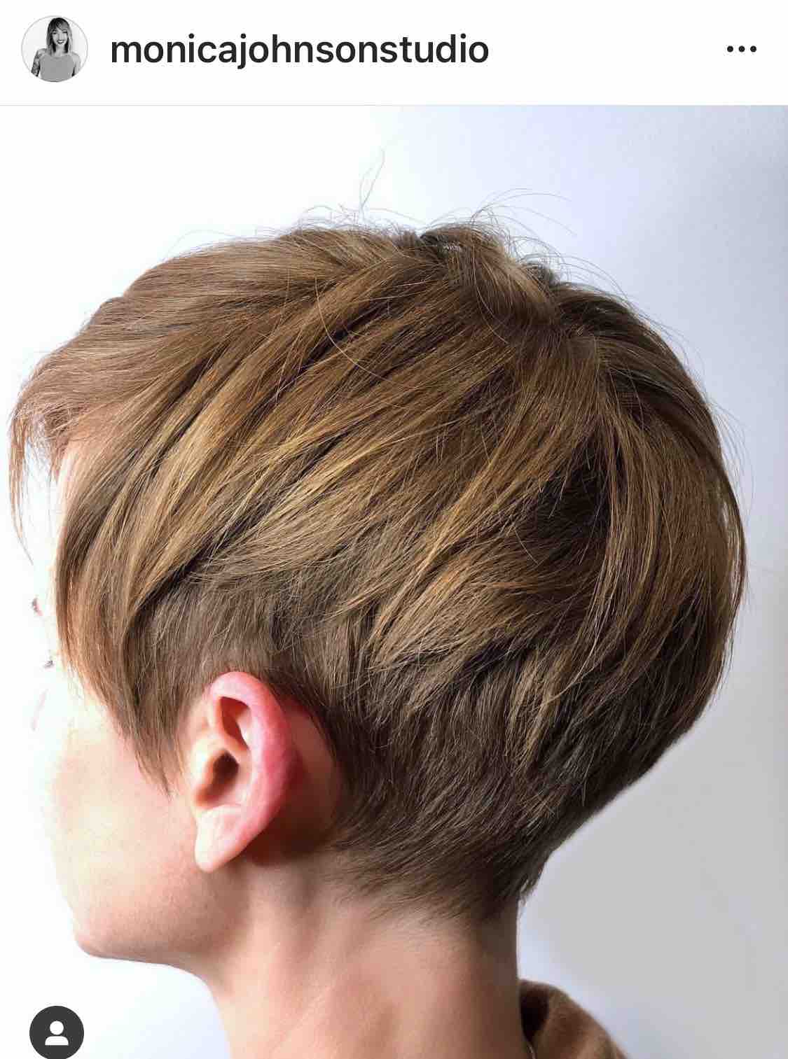 2-4 wk. Maintenence Haircut