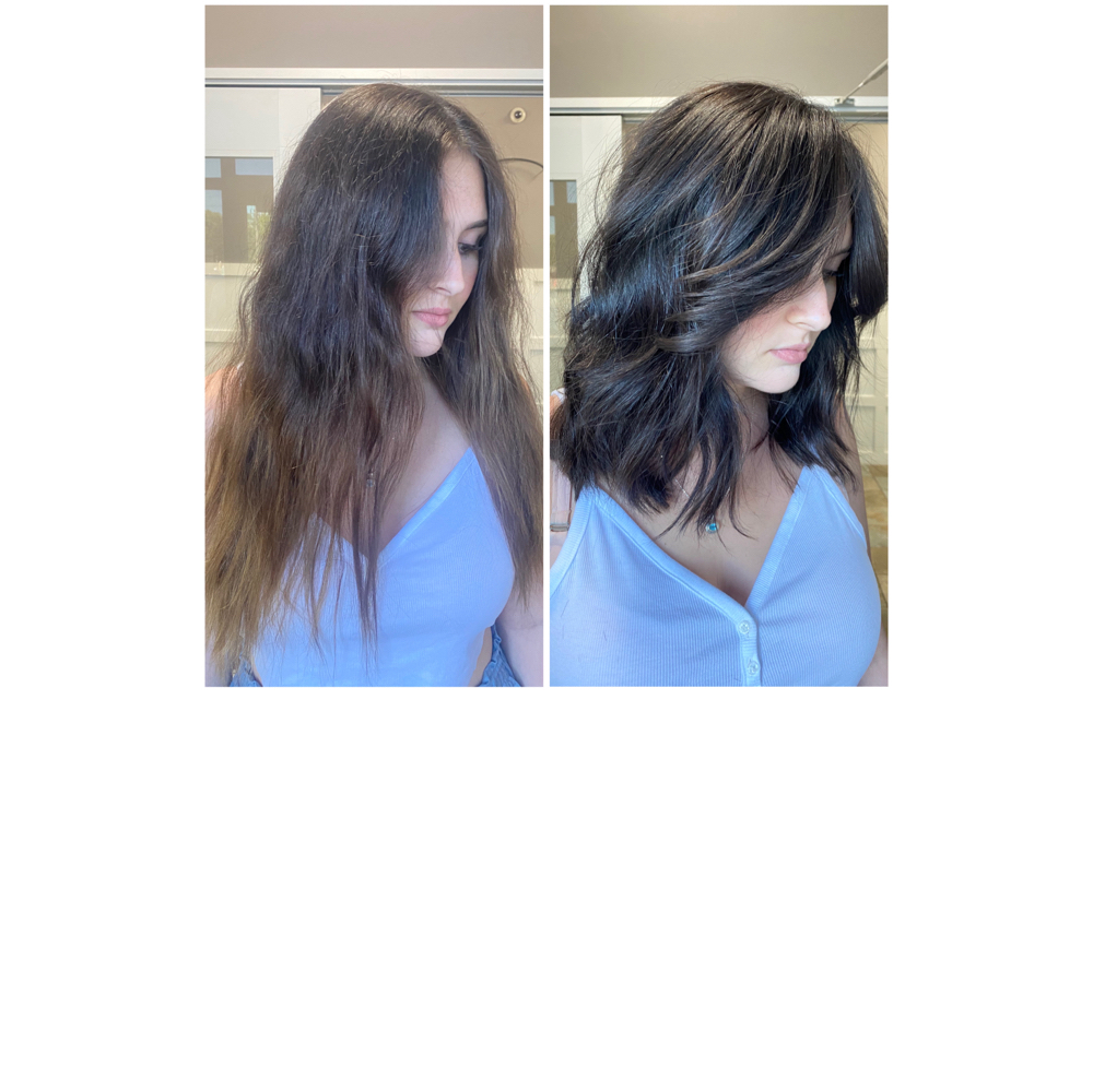 Full Color & Classic Cut