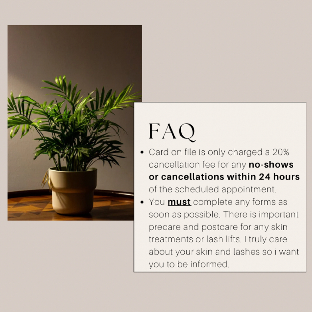 Read before booking! at Cozy Studio in Astoria, NY