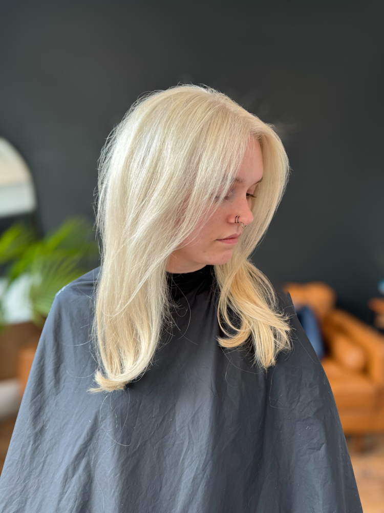 Born A Blondie at Maddie Shafer in Robbins, TN