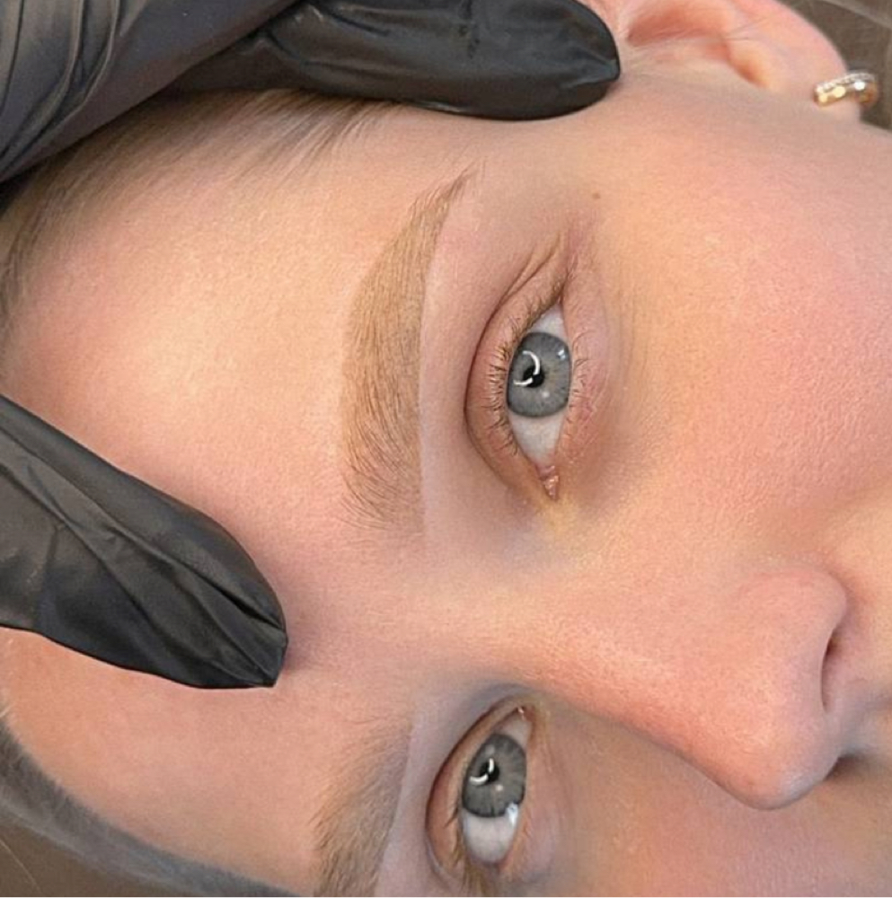 Touch Up Nano Brow at Zara Face Studio in Walnut Creek, CA