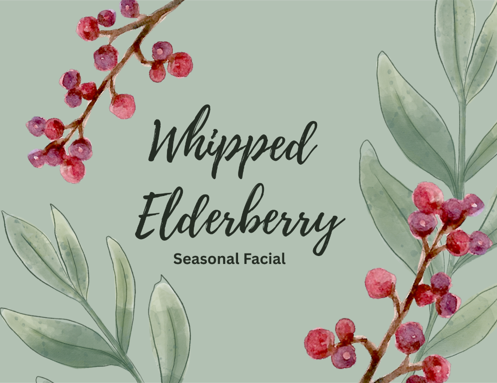 Whipped Elderberry