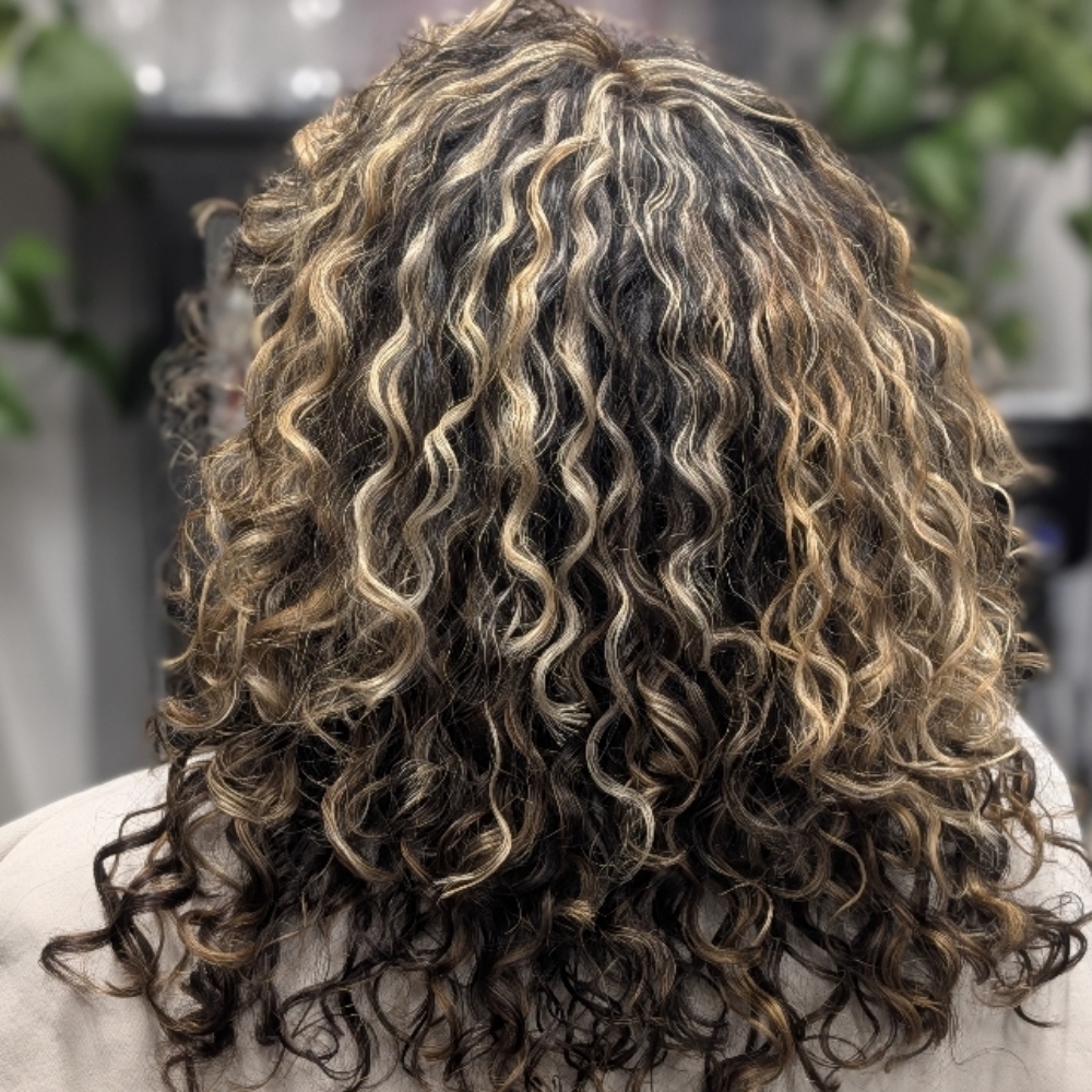 Partial Balayage/Highlights at Elevated Curls in Colorado Springs, CO