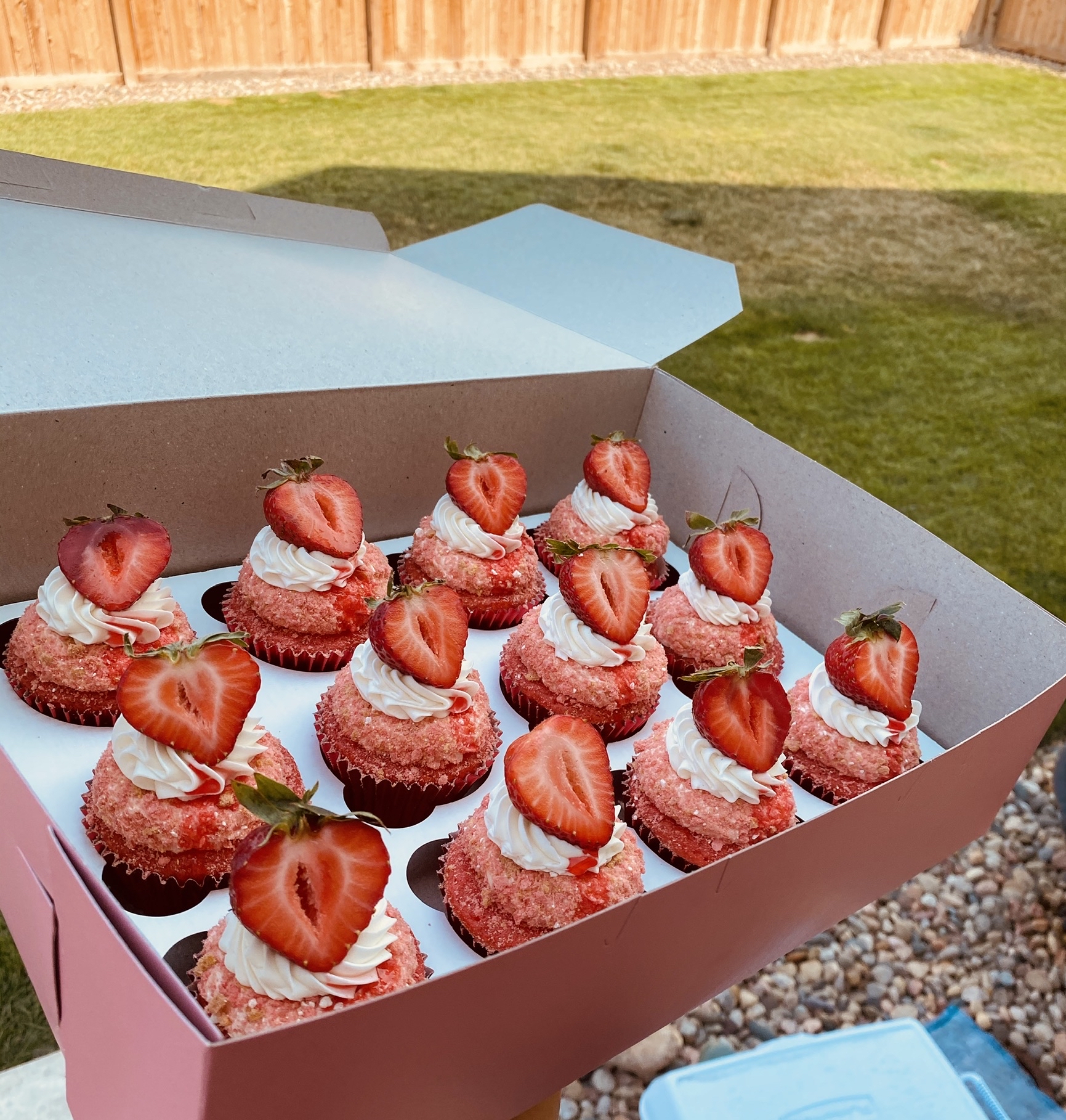 Dozen Strawberry Crunch Cupcakes at Sweeter than Honey in Dacono, CO