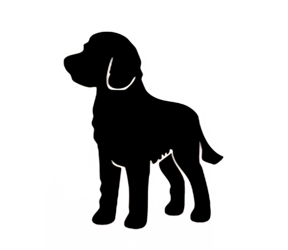 Doodle Groom at Fifi's Dog Grooming in Strongsville, OH