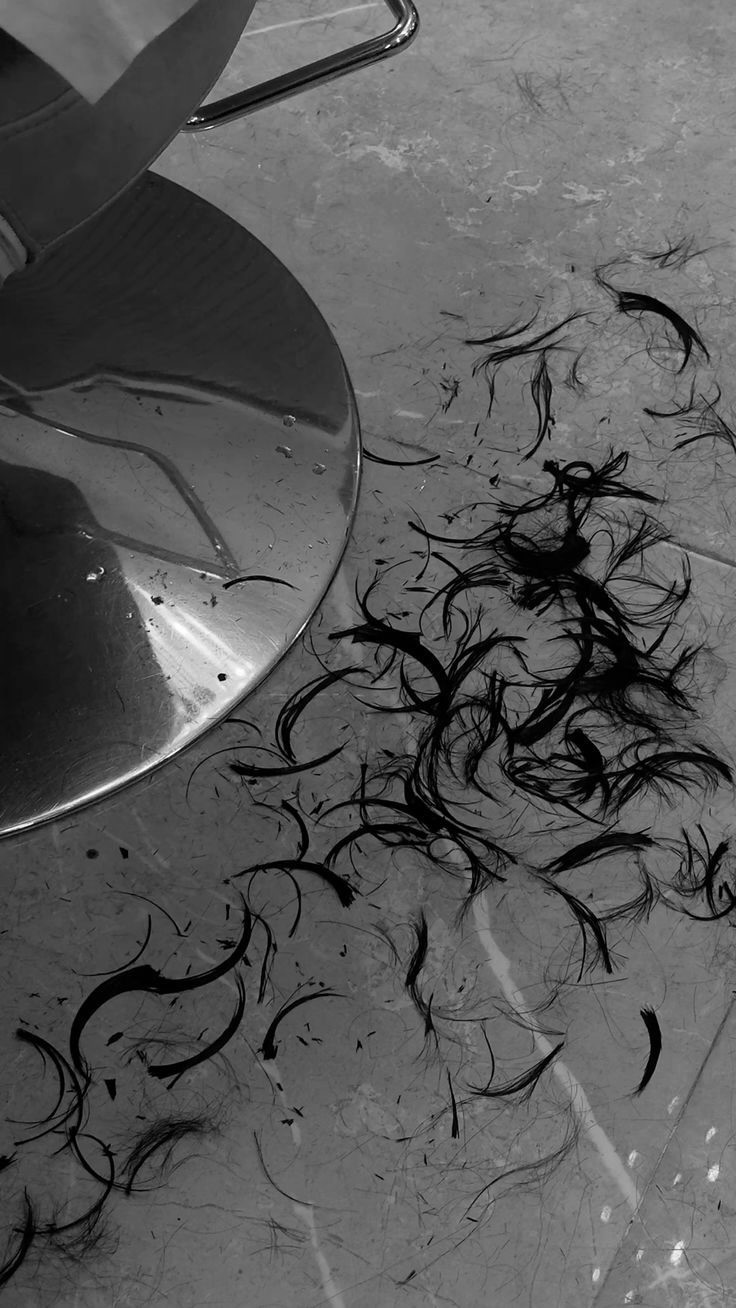 Women's Haircut & Style