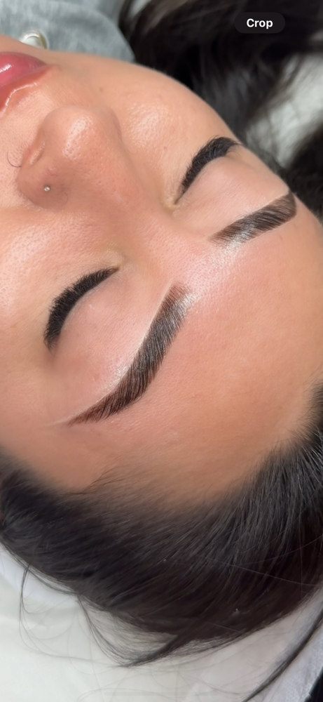 Brow Lami & Tint