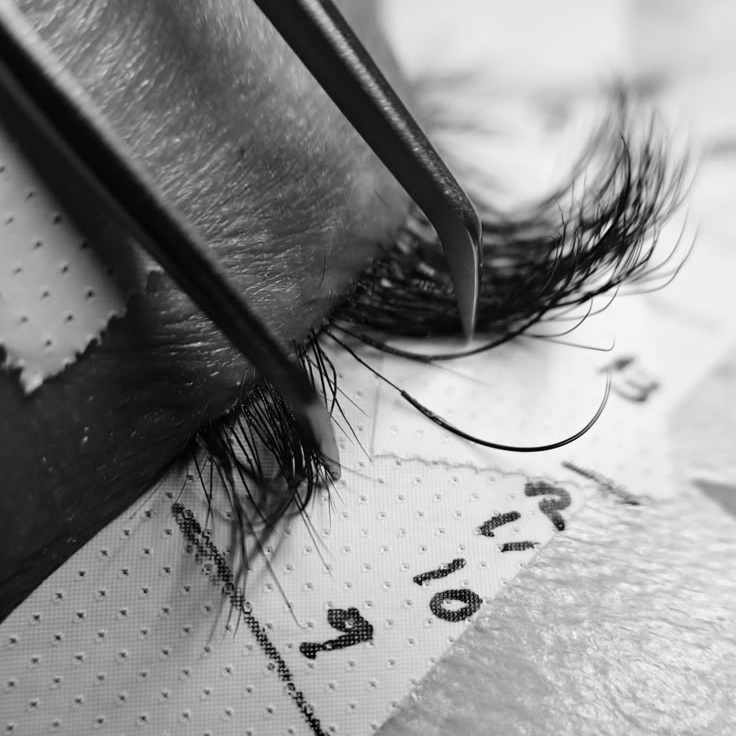 2 Week Classic Fill at Bloom Lash Bar in Wilmington, DE