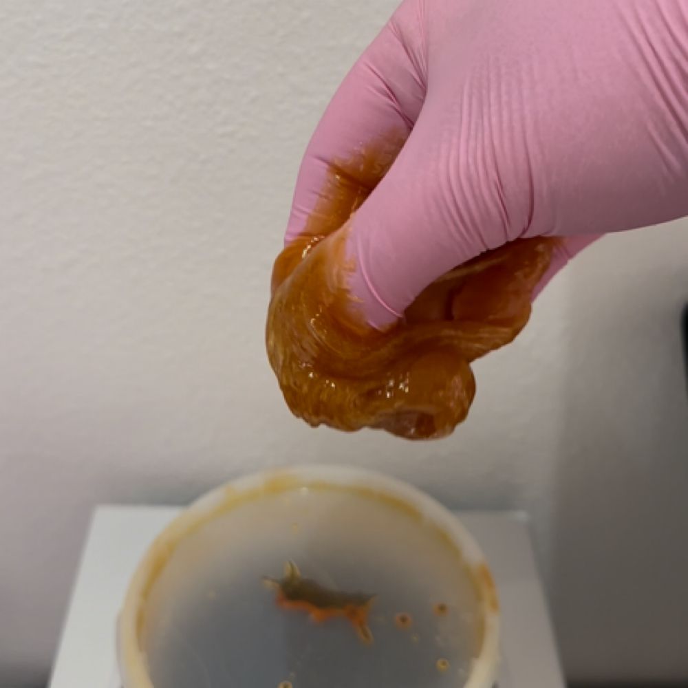 Full Leg Sugar at Beauty by Kaylian in Temple, TX