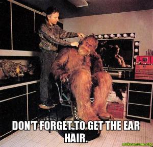 Ear Wax