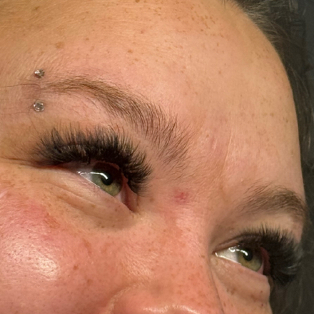 Volume Full Set at The Lash Authority Co. in Franklin, KY