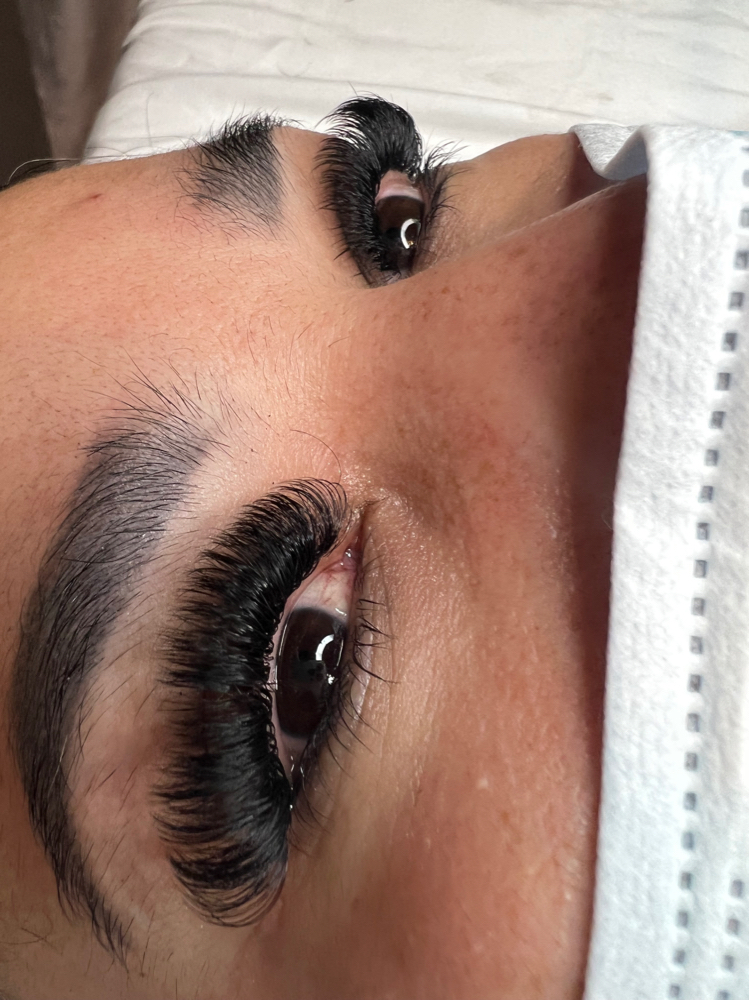 Mega Volume Lashes at Crystallarose Beauty in Erie, PA