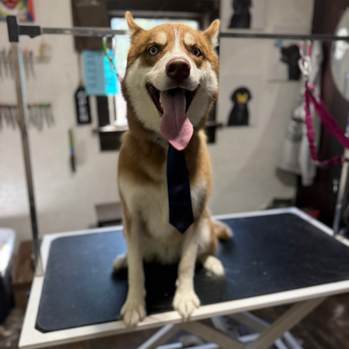 Hygiene Trim