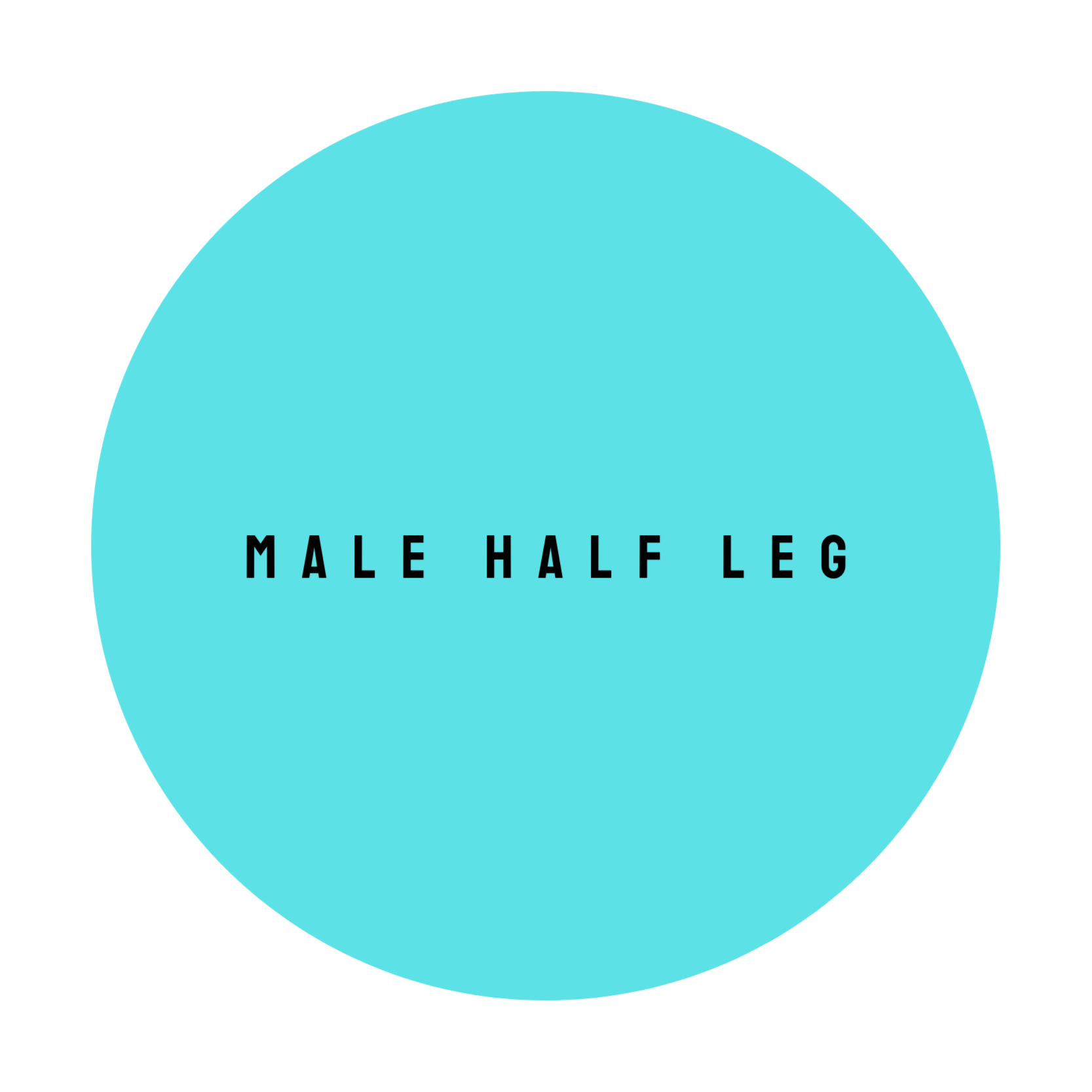 MALE HALF LEG at The Dollhouse Wax Studio in Smyrna, TN