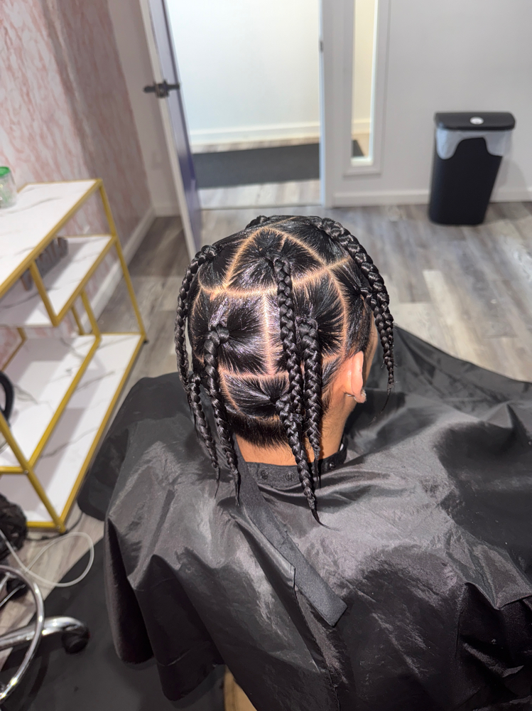 Two Strand Twist or Box Braids