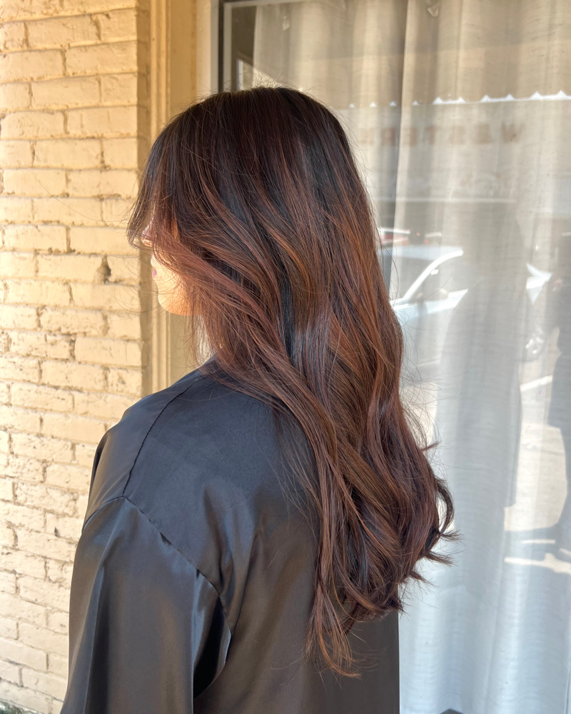 Shampoo, Cut, & Style