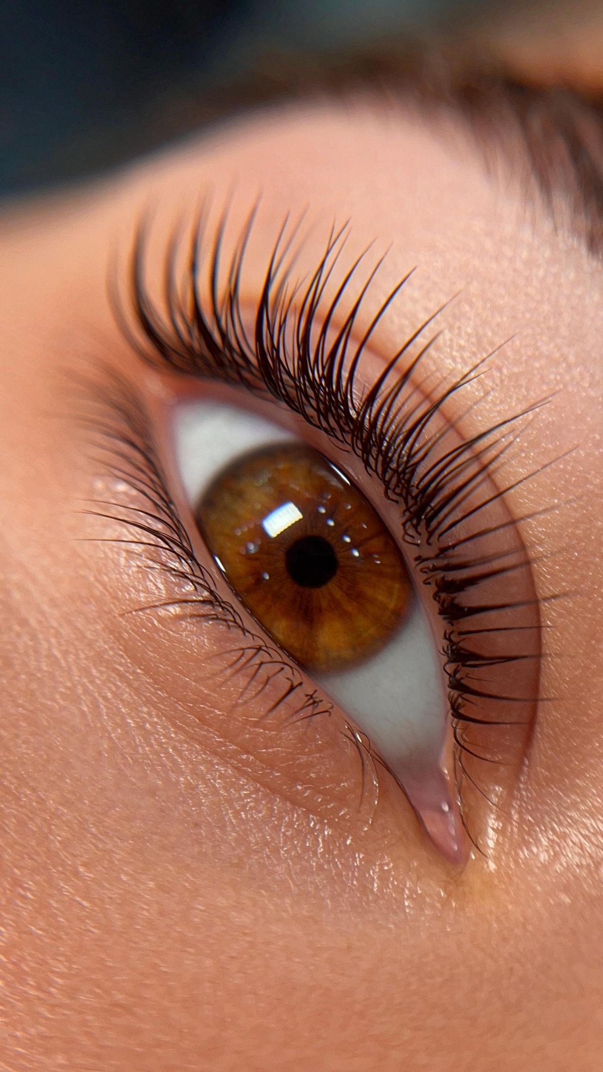 Eyelash Tint