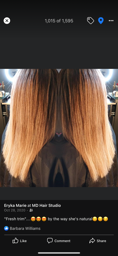 Foiling Highlights
