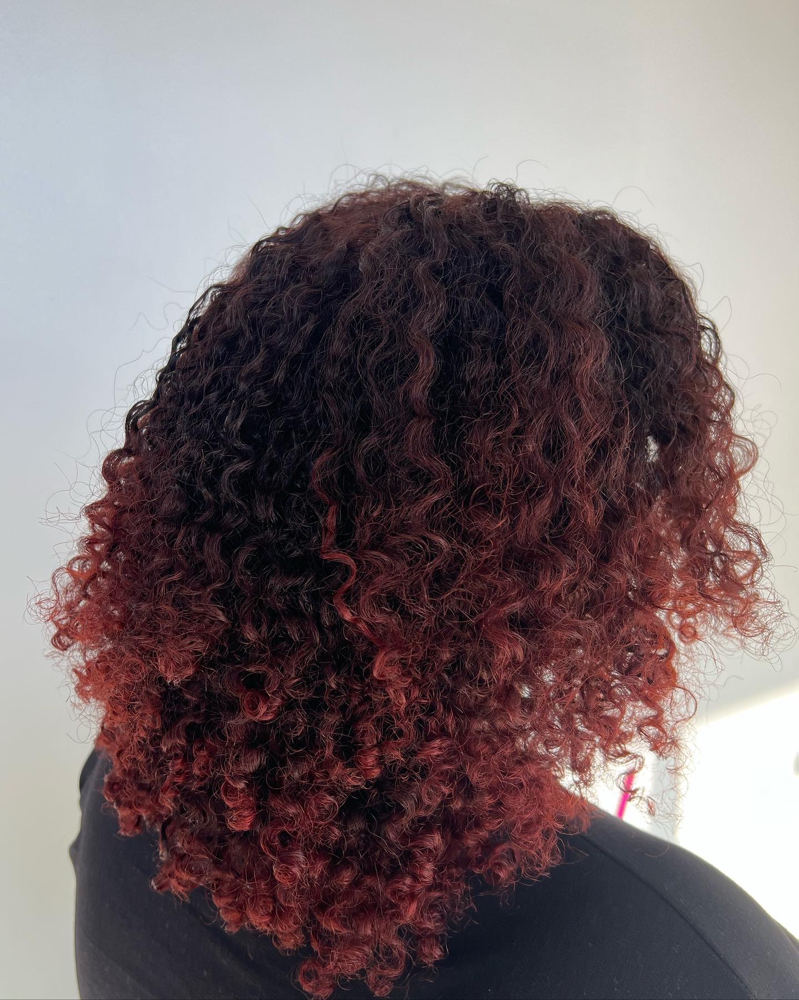 Dry Curly Cut