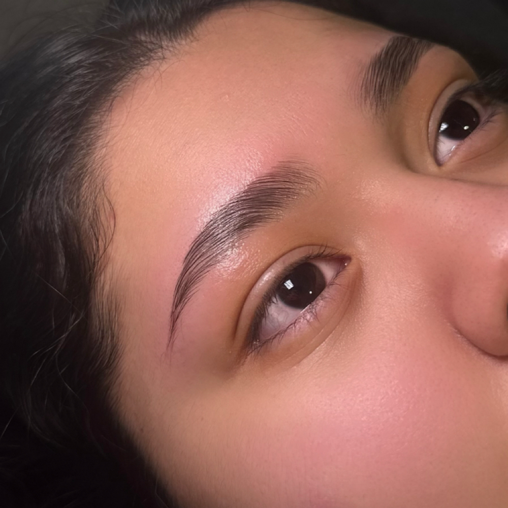 BROW LAMINATION & WAX at The Bare Suite in Thornton, CO