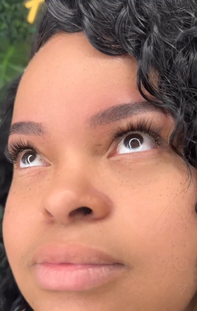 Classic Lashes 2-3 Weeks Refill