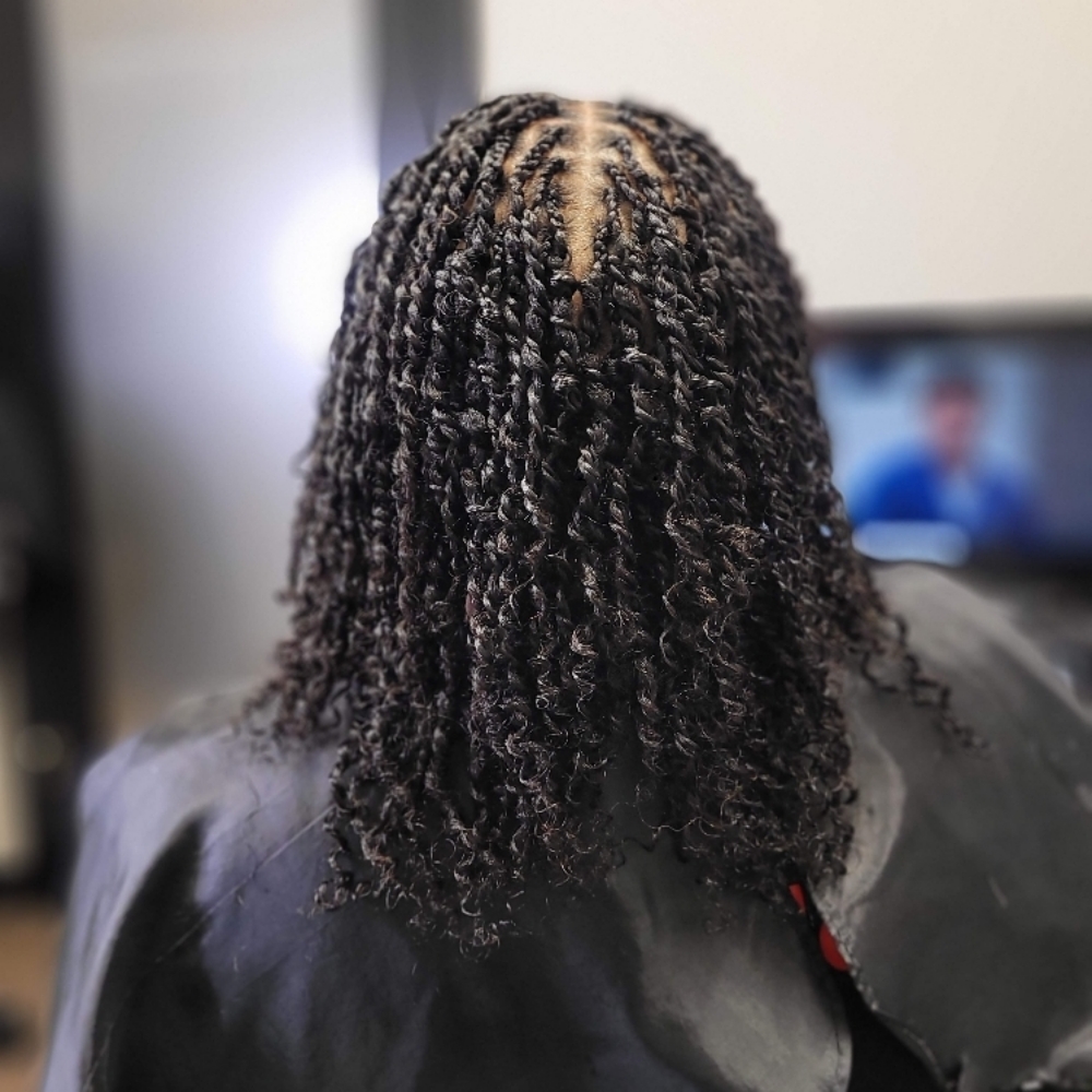 Mini Two Strand Twist