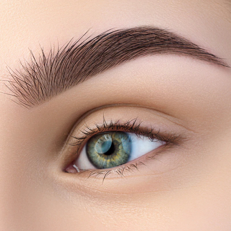 Ombre/Powder Brows Part 1