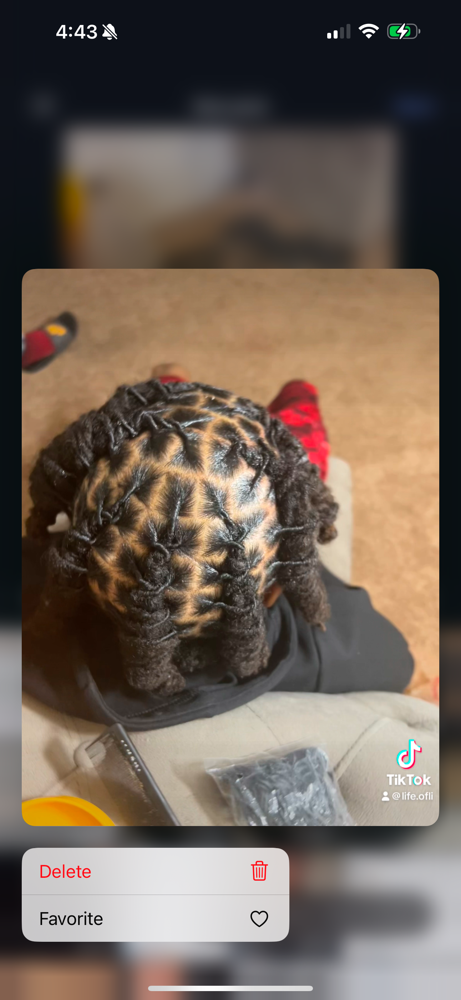 Retwist at Laid By Li in St. Louis, MO