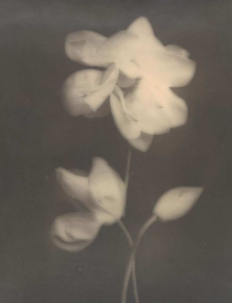 Haircut Add-on at Blooming Hair Co. in Canal Fulton, OH