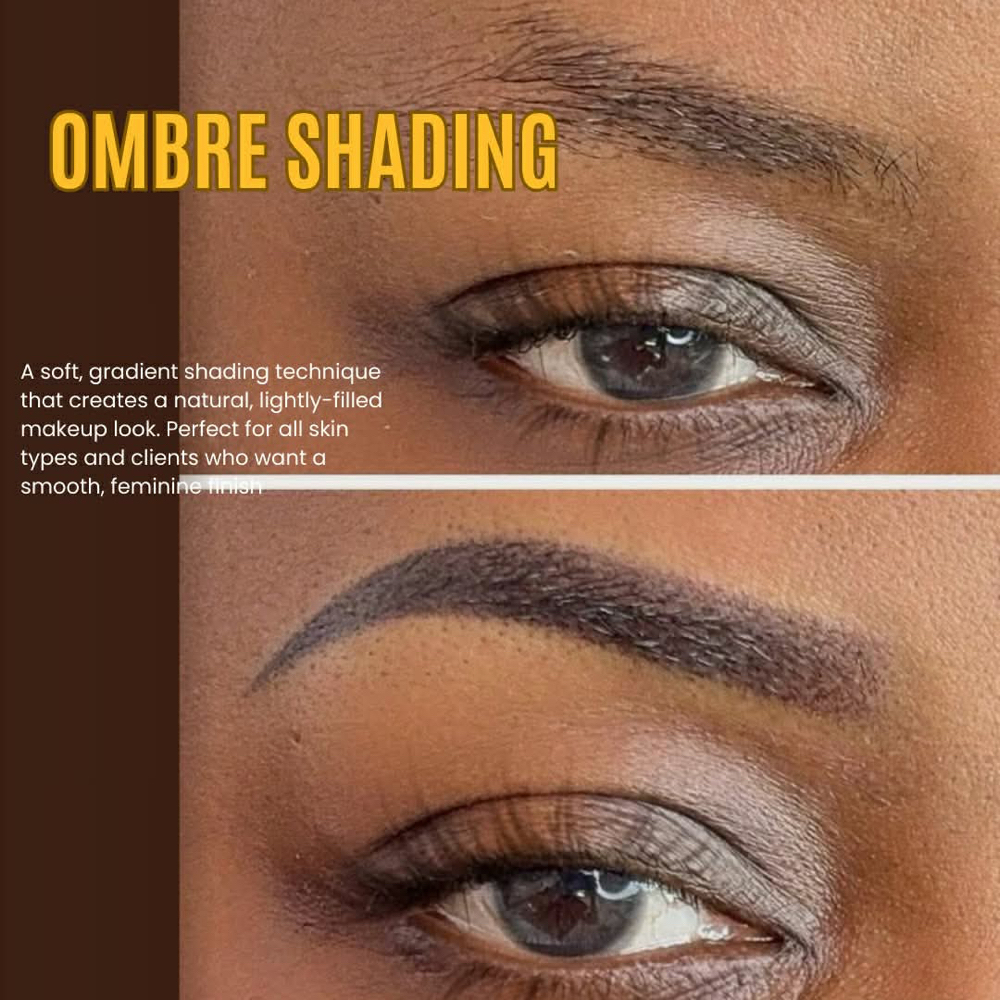 Ombre Shading Pro at Stevencaobrows in Fremont, CA