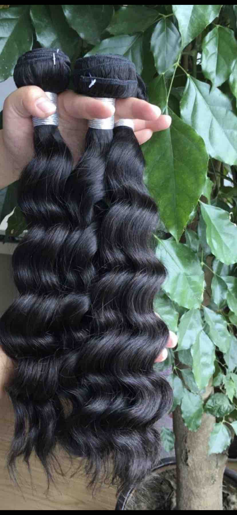Brazilian, Indian, 20inch&up