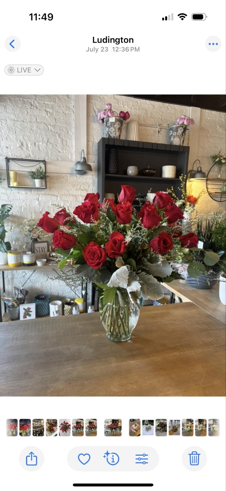 The Stargazer- Facial & Roses at The Cottage - Facials & Body Care, LLC in Ludington, MI