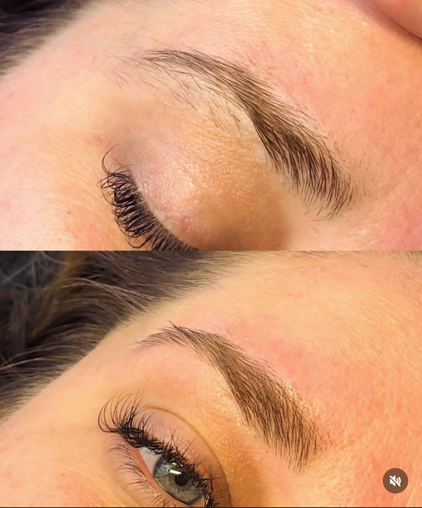 Eyebrow Wax at Princess Treatment Esthetics in Denver, CO