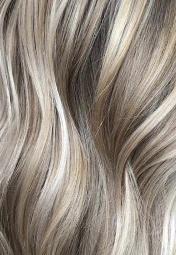 Full Foil Highlight
