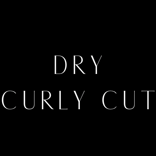 Dry Curly Cut -Current Clients Only