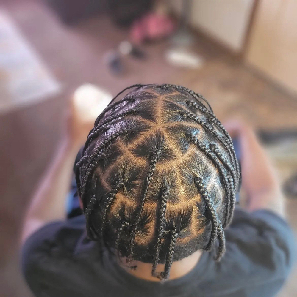 Single Braids