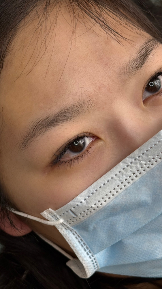 Bottom Lashes