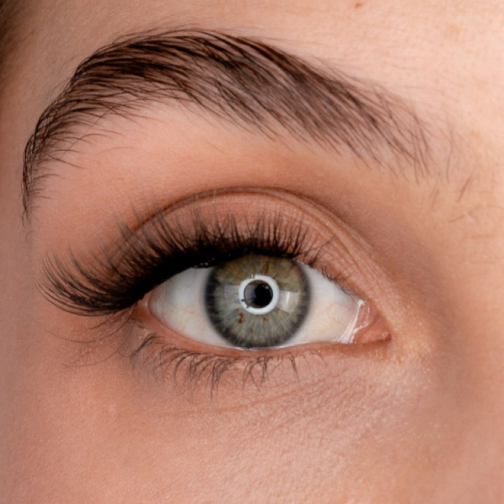 Lash Segments at DG BEAUTY PRO in Metairie, LA