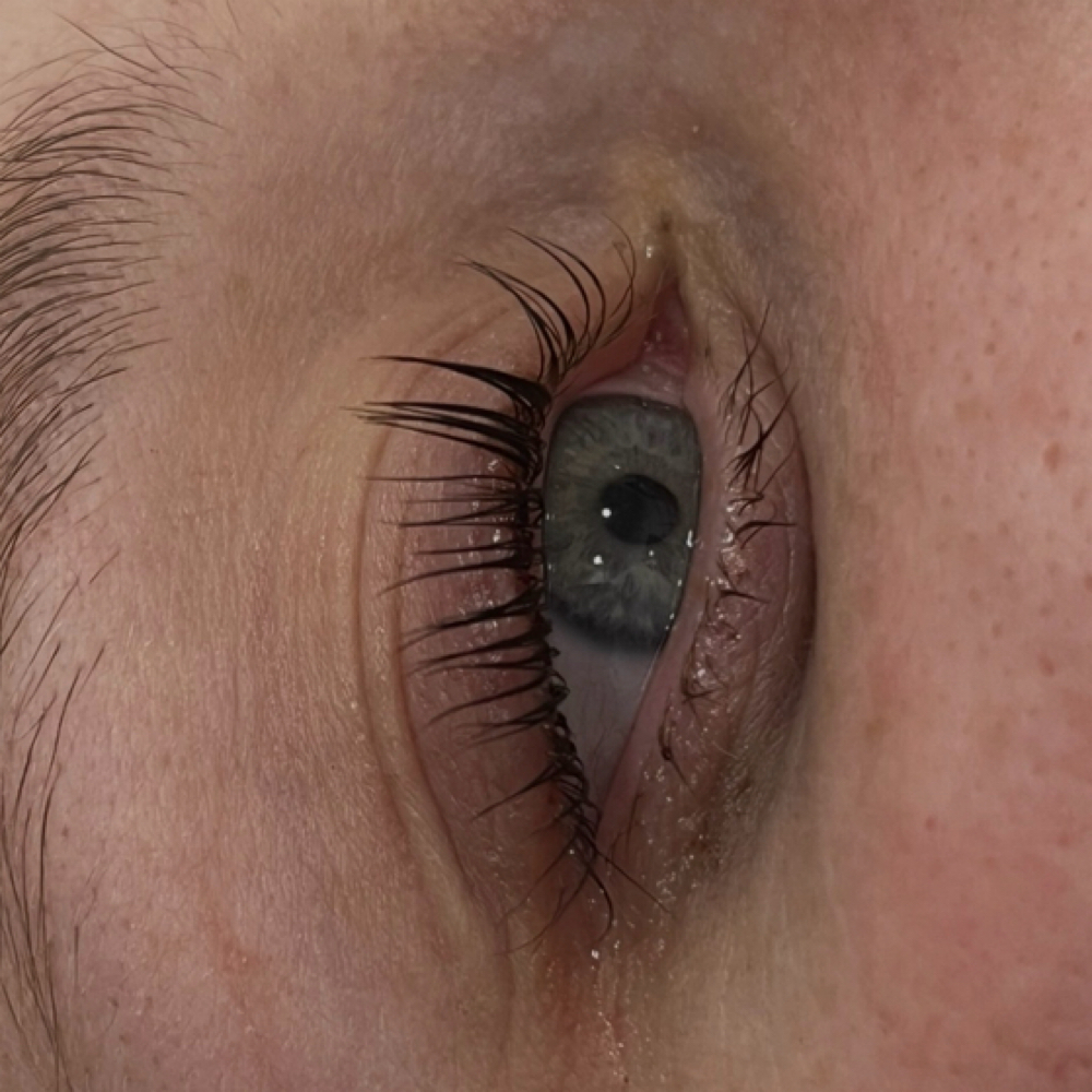Korean Lash lift and tint at Luna & Sol Wax studio in Hastings, MN