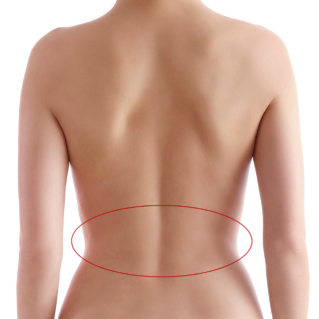 Back Lower at Bareline Aesthetics in Brea, CA