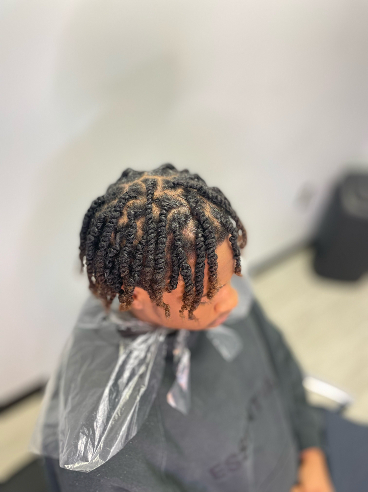 CORNROWS OR TWO STRAND TWIST at Amani Carter Glam Studio in Midlothian, VA