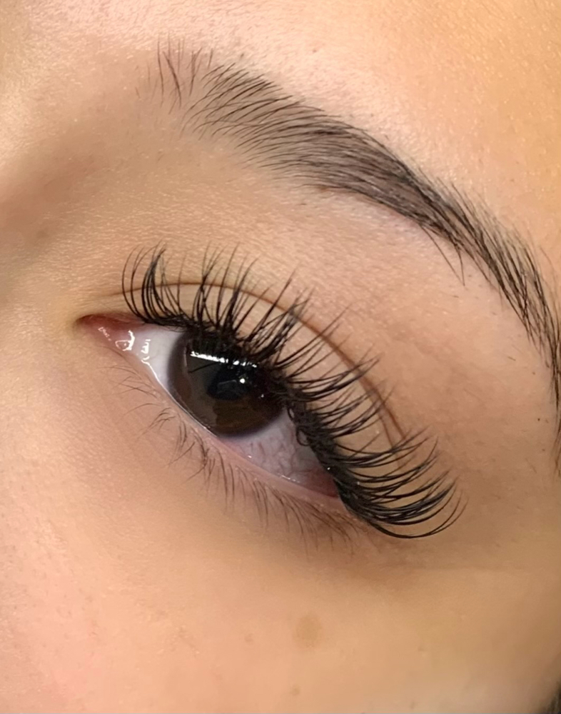 Classic Lash Fill