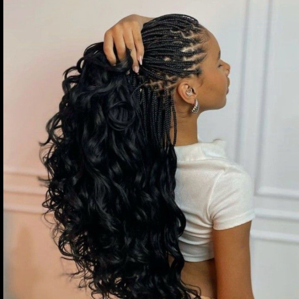 French Curl at Tachadam in Cypress, TX