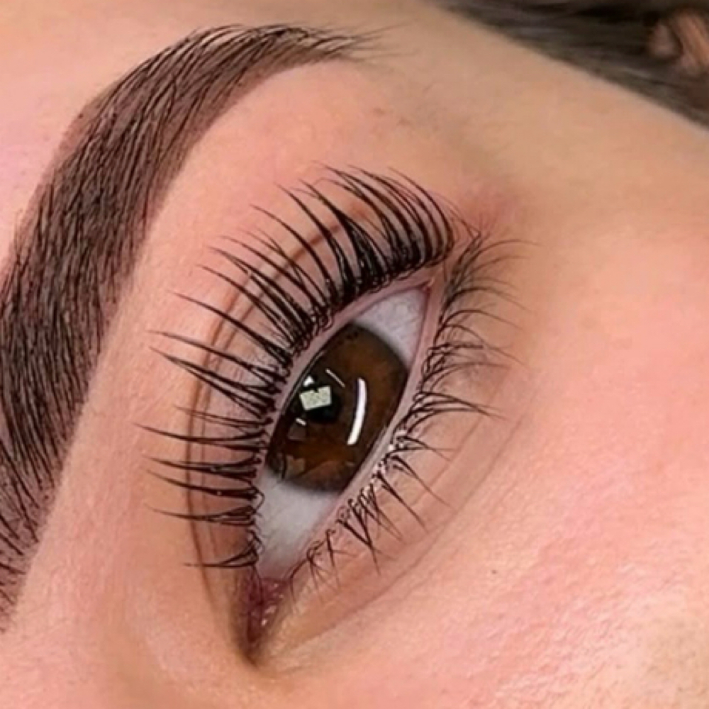 Korean Lash Lift & Tint at The Lash Fairy in McKinney, TX