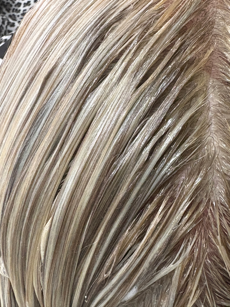 Mini Highlight (Express)