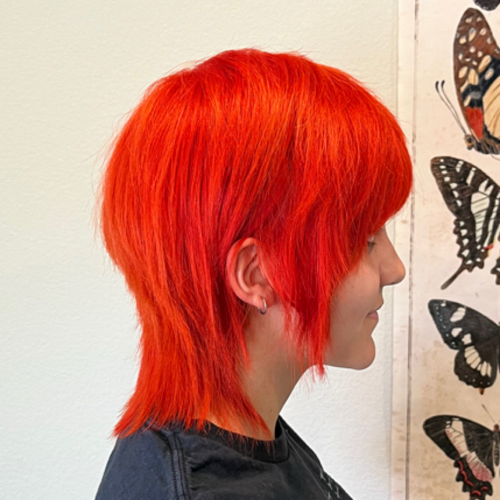 Color (Vivids) at RIZO • hair studio in Chino Hills, CA